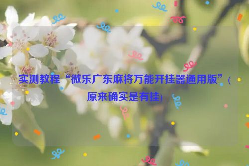 实测教程“微乐广东麻将万能开挂器通用版”(原来确实是有挂)