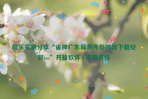 微乐实测分享“雀神广东麻将外卦神器下载安装ios”开挂软件+详细开挂