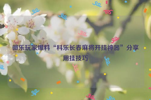 微乐玩家爆料“科乐长春麻将开挂神器”分享用挂技巧