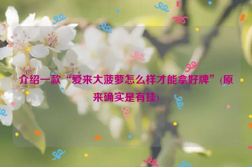 介绍一款“爱来大菠萝怎么样才能拿好牌”(原来确实是有挂)