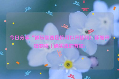 今日分享“微乐陕西挖坑可以开挂吗！详细开挂教程（确实真的有挂)