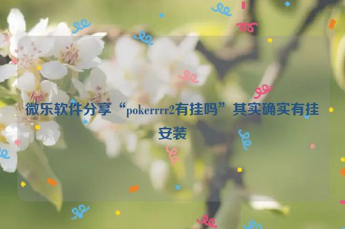 微乐软件分享“pokerrrr2有挂吗”其实确实有挂安装