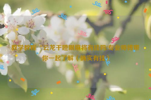教学教程“云龙干瞪眼麻将有挂吗!专业师傅带你一起了解（确实有挂）