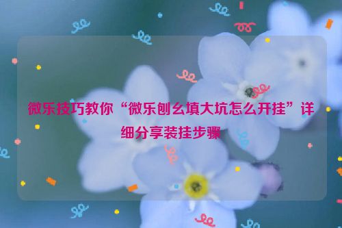 微乐技巧教你“微乐刨幺填大坑怎么开挂”详细分享装挂步骤