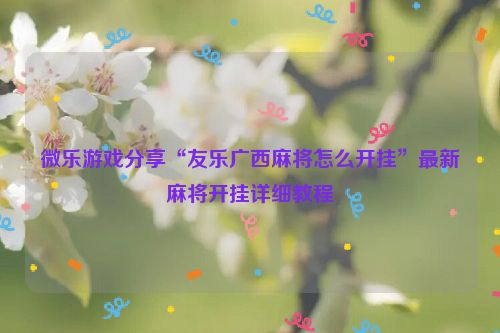 微乐游戏分享“友乐广西麻将怎么开挂”最新麻将开挂详细教程