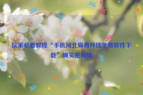 玩家必看教程“手机河北麻将开挂免费软件下载”确实是有挂
