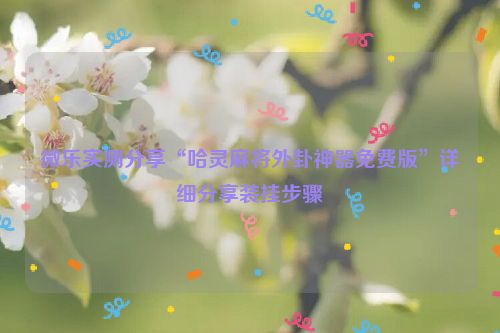微乐实测分享“哈灵麻将外卦神器免费版”详细分享装挂步骤