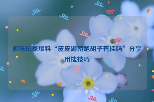 微乐玩家爆料“皮皮湖南跑胡子有挂吗”分享用挂技巧