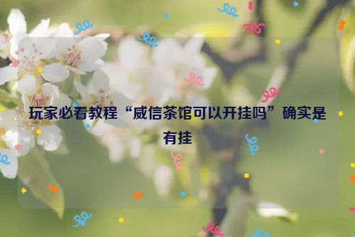 玩家必看教程“威信茶馆可以开挂吗”确实是有挂