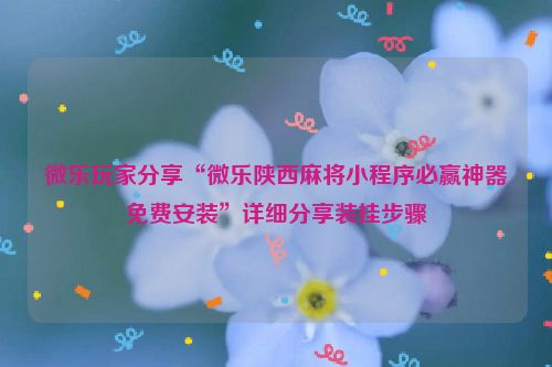微乐玩家分享“微乐陕西麻将小程序必赢神器免费安装”详细分享装挂步骤