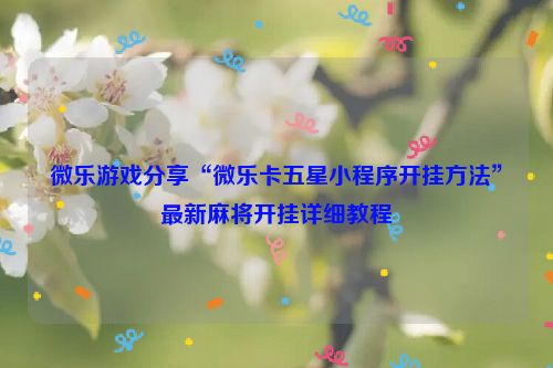 微乐游戏分享“微乐卡五星小程序开挂方法”最新麻将开挂详细教程