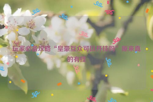 玩家必备攻略“皇豪互众可以开挂吗”原来真的有挂