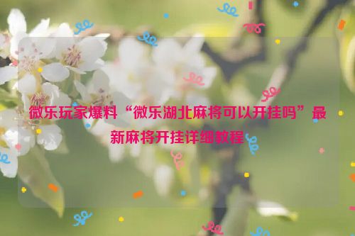 微乐玩家爆料“微乐湖北麻将可以开挂吗”最新麻将开挂详细教程