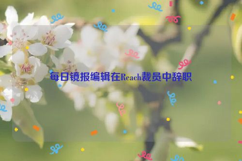 每日镜报编辑在Reach裁员中辞职