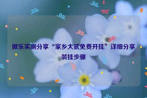 微乐实测分享“家乡大贰免费开挂”详细分享装挂步骤