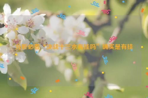 分析必看“决战十三水有挂吗”确实是有挂