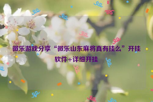 微乐游戏分享“微乐山东麻将真有挂么”开挂软件+详细开挂