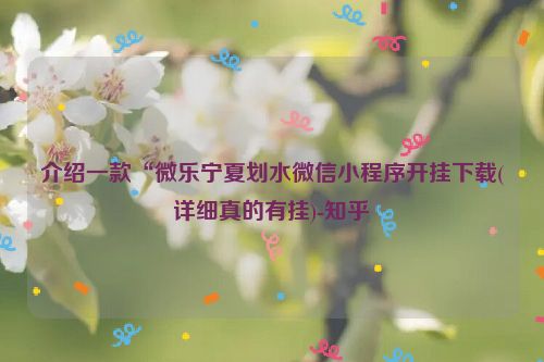 介绍一款“微乐宁夏划水微信小程序开挂下载(详细真的有挂)-知乎