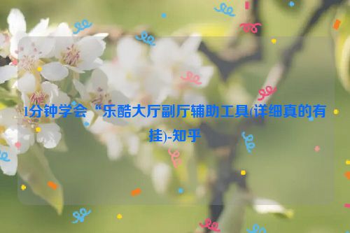 1分钟学会“乐酷大厅副厅辅助工具(详细真的有挂)-知乎
