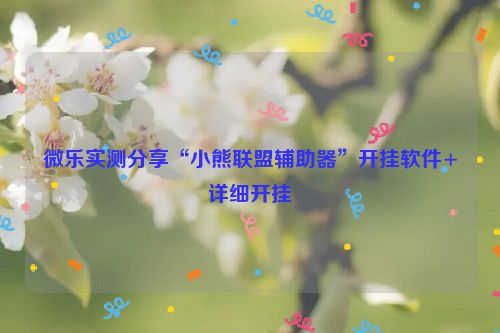 微乐实测分享“小熊联盟辅助器”开挂软件+详细开挂