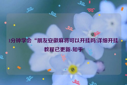 1分钟学会“朋友安徽麻将可以开挂吗!详细开挂教程已更新-知乎