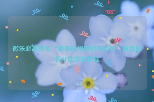 微乐必赢教你“哥哥杭州麻将有挂吗”最新麻将开挂详细教程