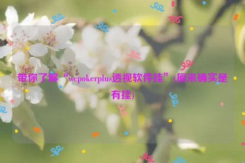 带你了解“wepokerplus透视软件挂”(原来确实是有挂)