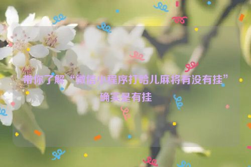 带你了解“微信小程序打哈儿麻将有没有挂”确实是有挂