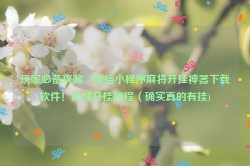 玩家必备攻略“微信小程序麻将开挂神器下载软件！详细开挂教程（确实真的有挂)