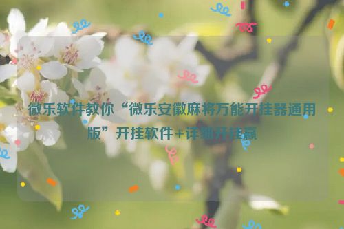 微乐软件教你“微乐安徽麻将万能开挂器通用版”开挂软件+详细开挂赢