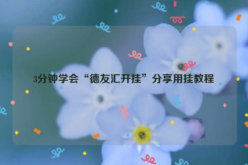3分钟学会“德友汇开挂”分享用挂教程