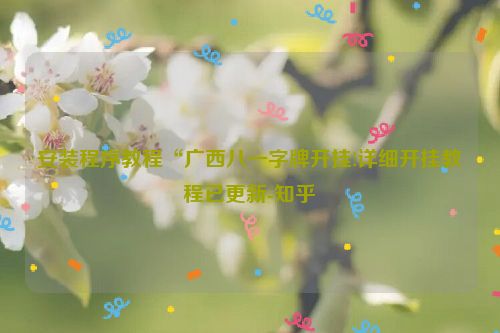 安装程序教程“广西八一字牌开挂!详细开挂教程已更新-知乎