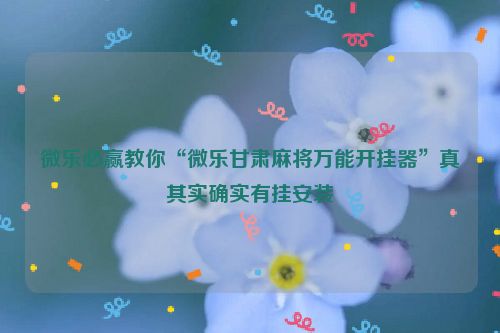 微乐必赢教你“微乐甘肃麻将万能开挂器”真其实确实有挂安装