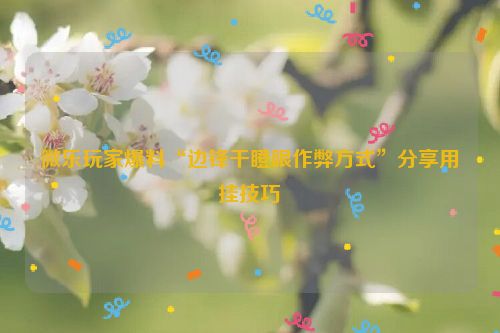 微乐玩家爆料“边锋干瞪眼作弊方式”分享用挂技巧