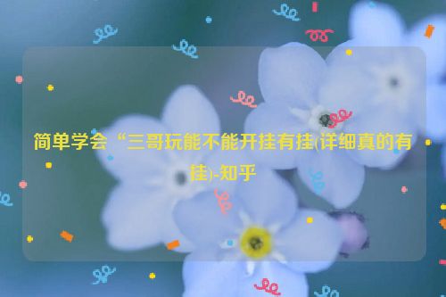 简单学会“三哥玩能不能开挂有挂(详细真的有挂)-知乎