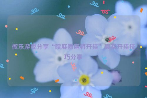微乐游戏分享“陕麻圈麻将开挂”真实开挂技巧分享