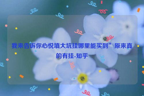 我来告诉你心悦填大坑挂哪里能买到”原来真的有挂-知乎