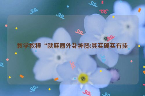 教学教程“陕麻圈外卦神器!其实确实有挂