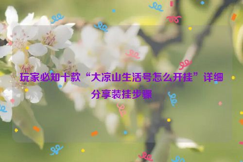 玩家必知十款“大凉山生活号怎么开挂”详细分享装挂步骤
