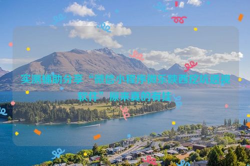 实测辅助分享“微信小程序微乐陕西挖坑透视软件”原来真的有挂