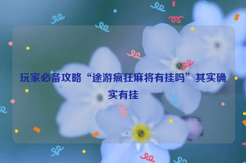 玩家必备攻略“途游疯狂麻将有挂吗”其实确实有挂