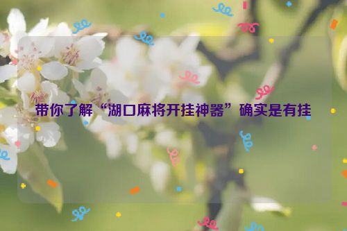 带你了解“湖口麻将开挂神器”确实是有挂