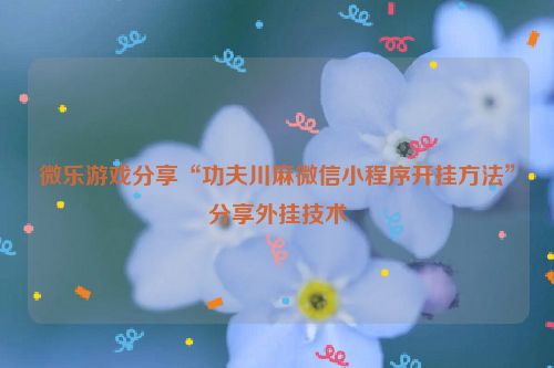 微乐游戏分享“功夫川麻微信小程序开挂方法”分享外挂技术