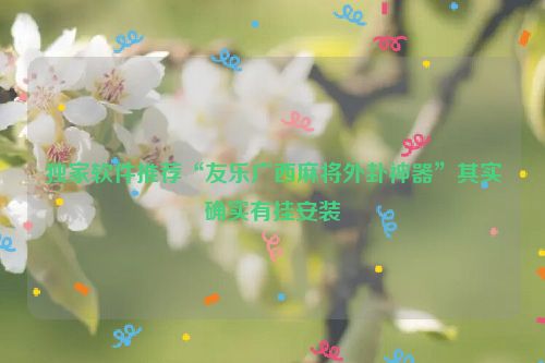 独家软件推荐“友乐广西麻将外卦神器”其实确实有挂安装