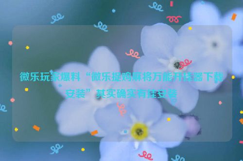 微乐玩家爆料“微乐捉鸡麻将万能开挂器下载安装”其实确实有挂安装