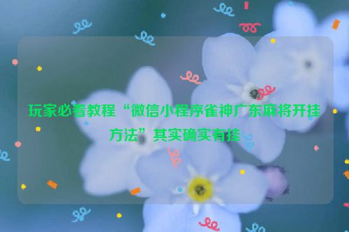 玩家必看教程“微信小程序雀神广东麻将开挂方法”其实确实有挂