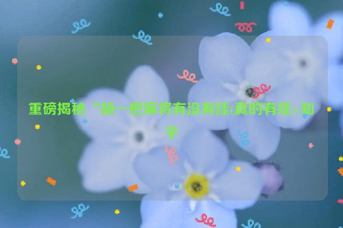 重磅揭秘“胡一把麻将有没有挂(真的有挂)-知乎