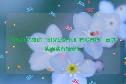 微乐打法教你“阳光岛牌乐汇有没有挂”真其实确实有挂安装