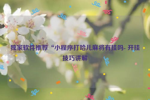 独家软件推荐“小程序打哈儿麻将有挂吗- 开挂技巧讲解