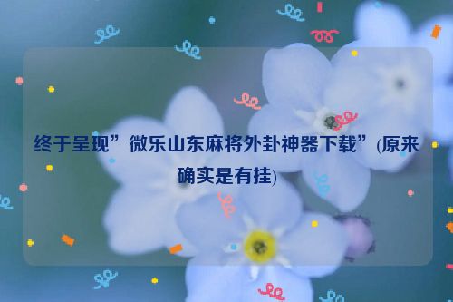终于呈现”微乐山东麻将外卦神器下载”(原来确实是有挂)